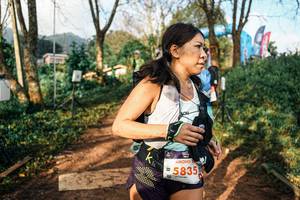 BIB: 
                            <button type="button" onclick="openModal(25470054)" class="btn btn-primary btn-sm float-right btn-popup" data-toggle="modal" data-target=".modal-high-quality">
                        <i class="fas fa-shopping-cart"></i> Add to Cart
                    </button>
                                            <button type="button" onclick="isThisMe(25470054, true)" class="btn btn-success btn-sm float-right btn-popup btn-isme hidden" data-toggle="tooltip" data-placement="bottom" title="นี่คือรูปของคุณใช่ไหม คลิกที่นี่เพื่อเอาเข้าอัลบั้ม">
                        <i class="fas fa-plus"></i> Add to album
                    </button>
                    <button type="button" onclick="isThisMe(25470054, false)" class="btn btn-warning btn-sm float-right btn-popup btn-isnotme hidden">
                        <i class="fas fa-ban"></i> Remove from album
                    </button>